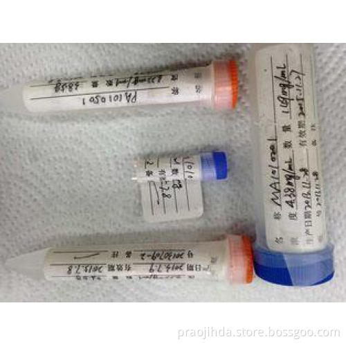 Mouse anti - Human RBC Mab-2 Hybridoma Monoclonal Antibody